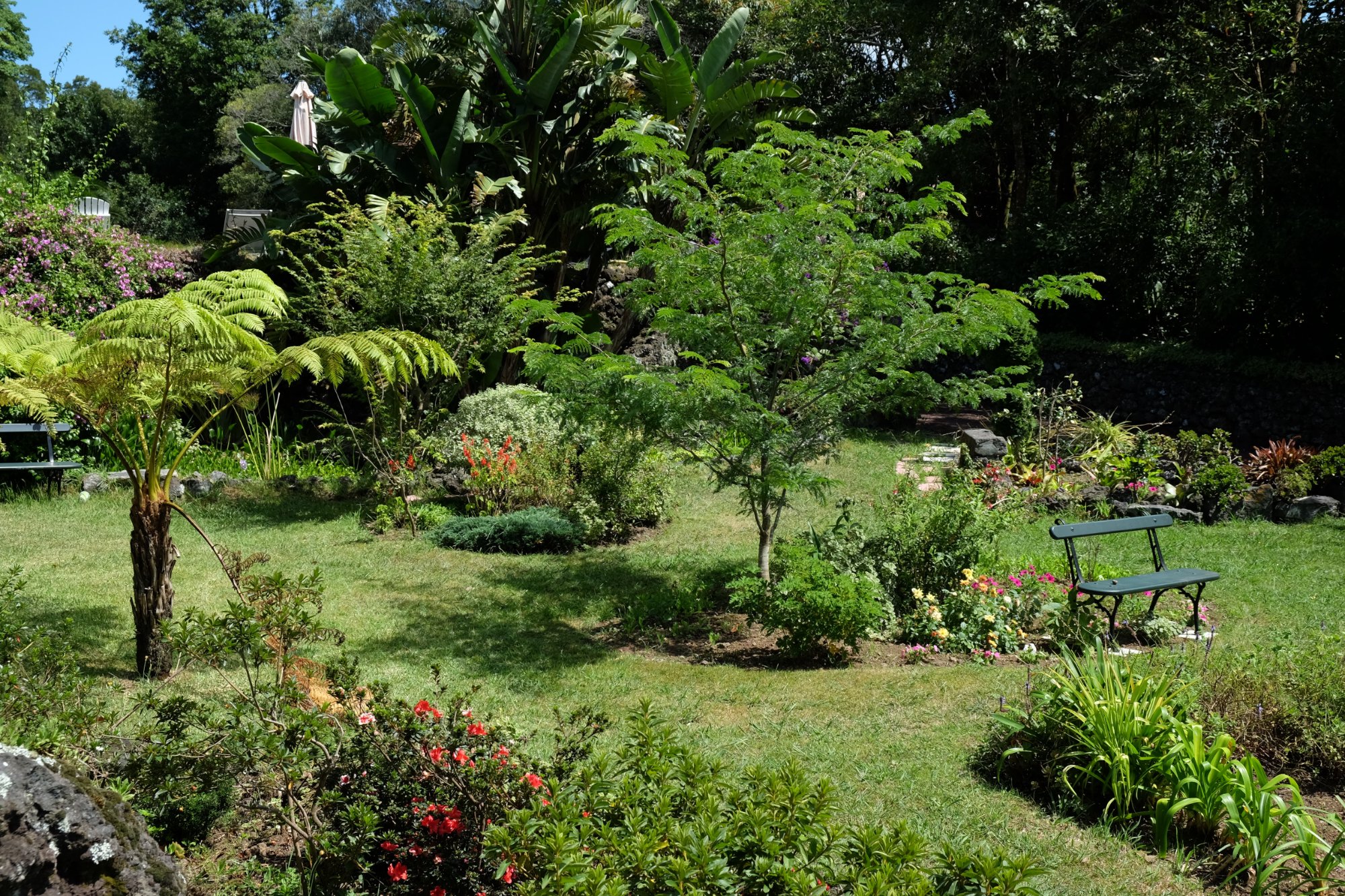 Pink House Azores-官方