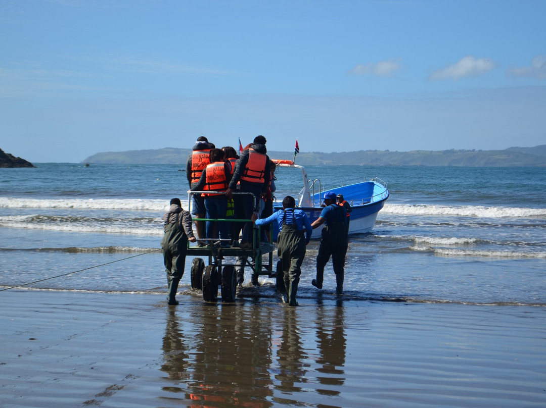Chiloe Turismo Verde-Ancud必去景点