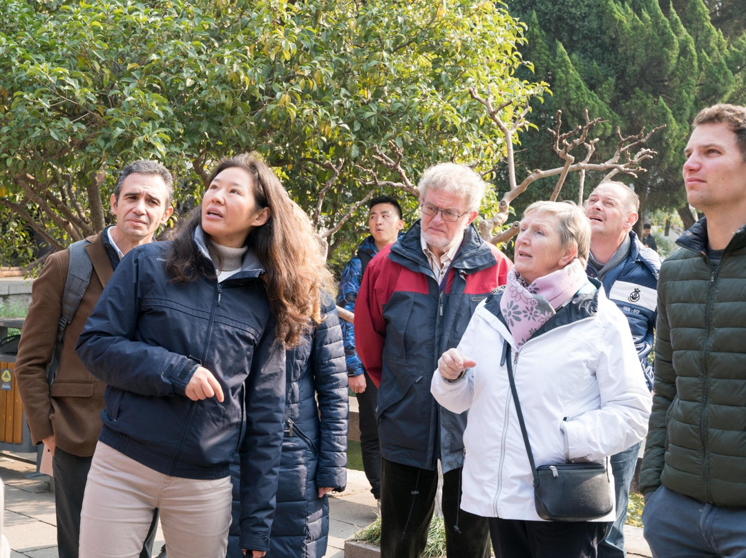 Shanghai Lily Tours-上海市必去景点
