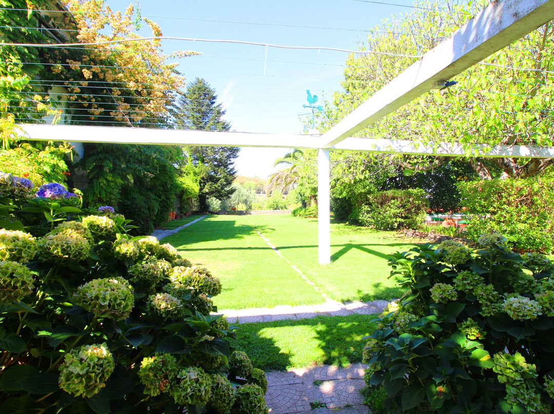 Casa da Figueira Grande主图