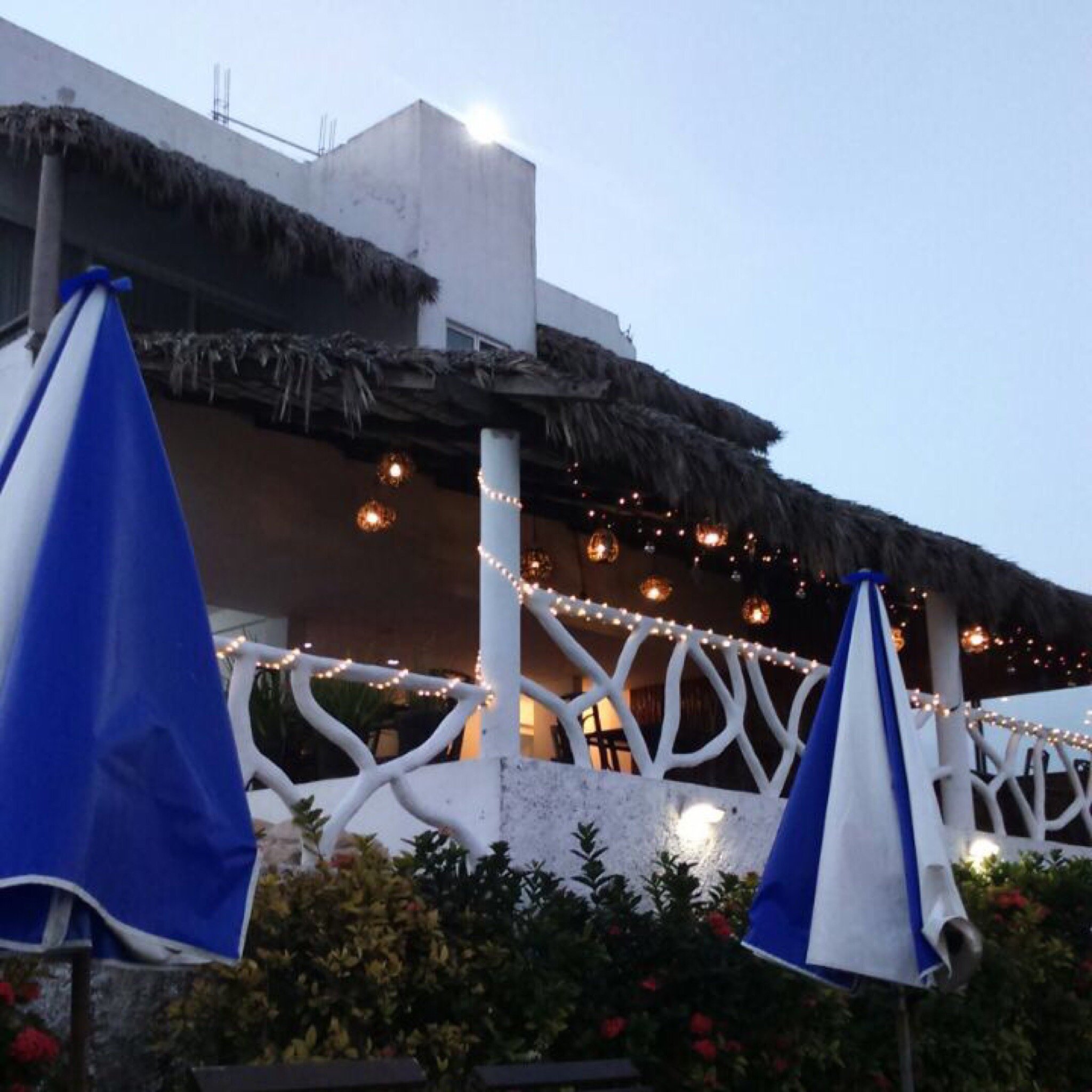 Hotel Palma Blanca-官方