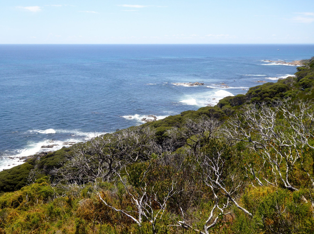 Cape Naturaliste Walking Trails景点图片