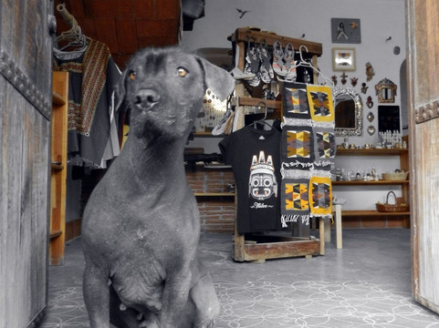 Espacio Panoplia-Teotitlan del Valle必去景点