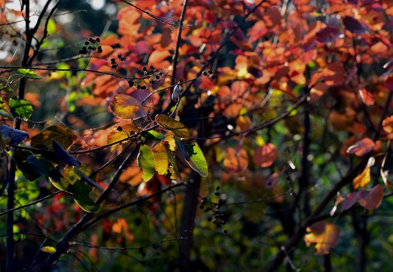 西山国家森林公园-北京市必去景点