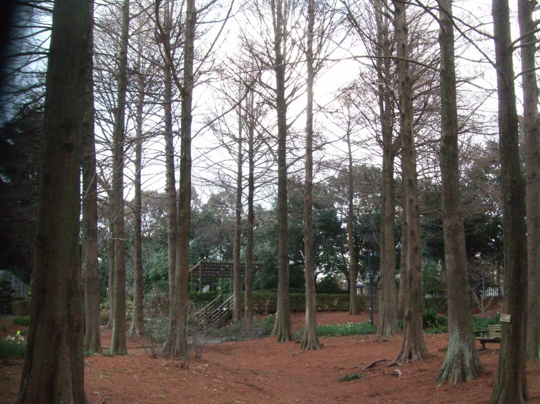 Hattori Ryokuchi Toshi Ryokka Botanical Garden-丰中市必去景点