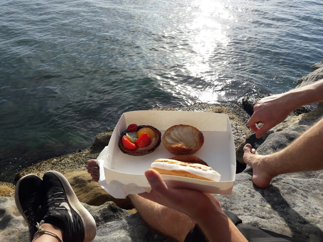 玫瑰湾至尼尔森公园漫步-悉尼必去景点