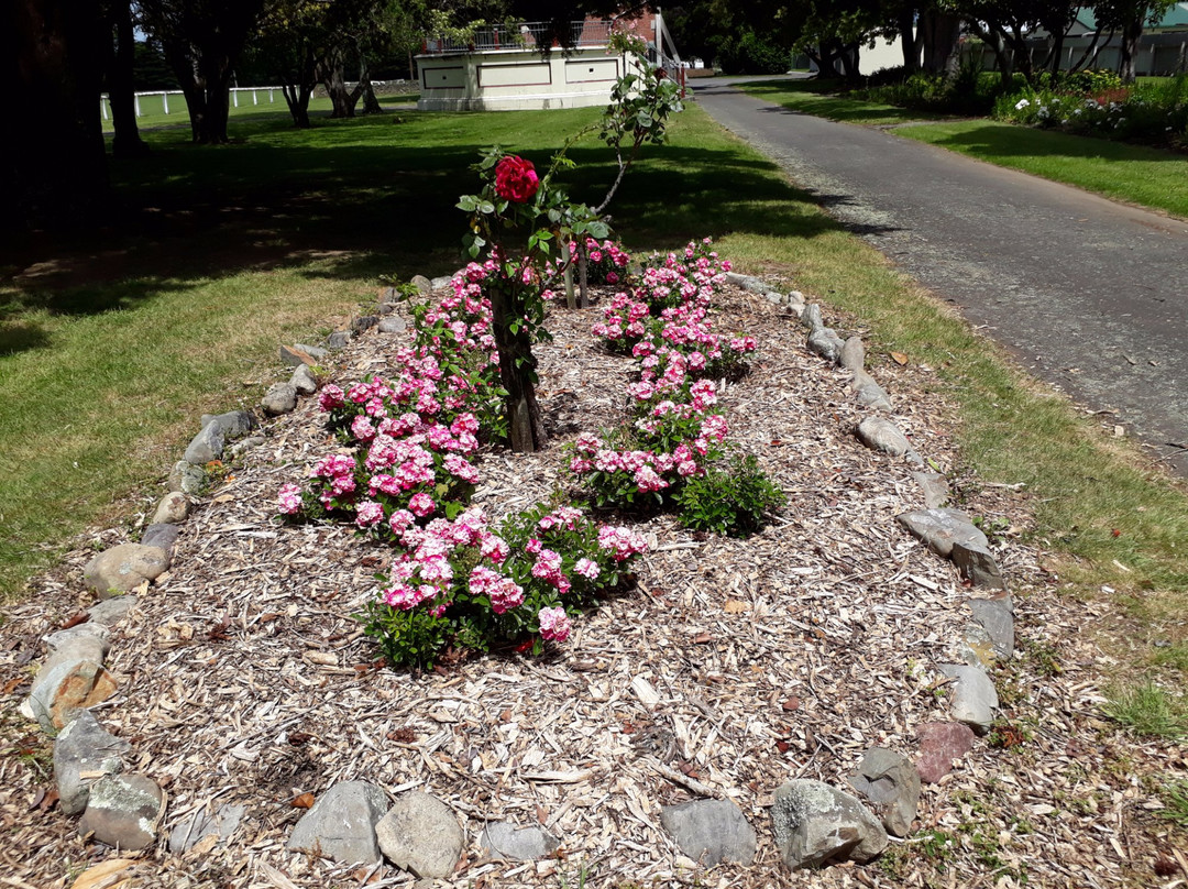 Dannevirke Domain景点图片