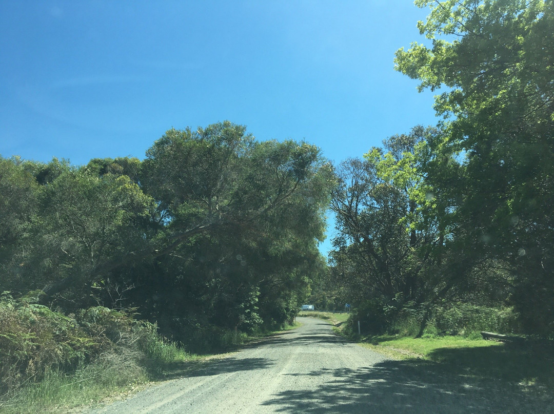 Foster Flora Reserve-福斯特必去景点