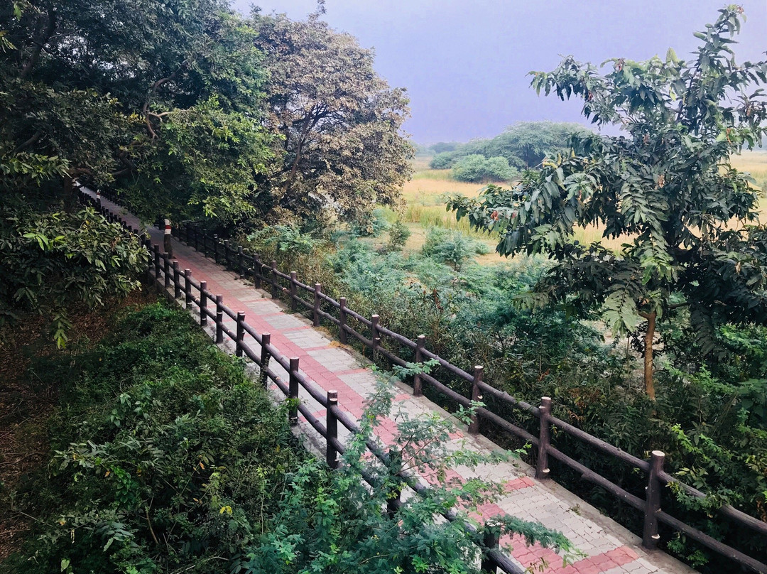 Unnao旅游攻略图片