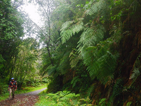 Transpatagonia Tour Service-Frutillar必去景点