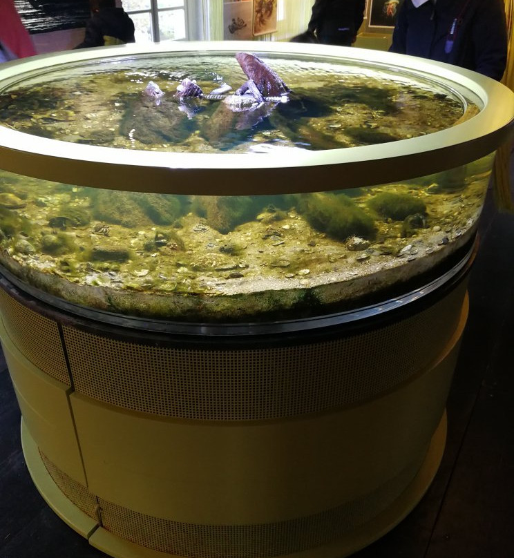 Nationalpark-Haus Carolinensiel-Carolinensiel必去景点