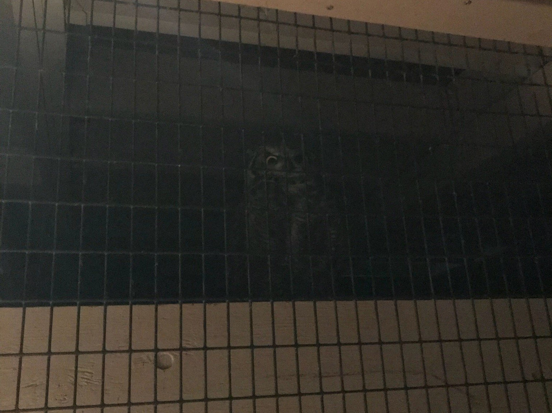 Oregon Observatory at Sunriver-太阳河必去景点