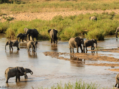 Regent Safaris-雾观必去景点