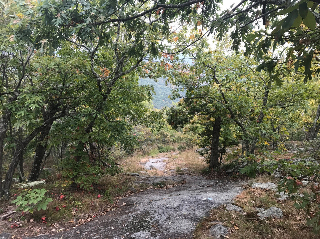 Macedonia Brook State Park-肯特必去景点