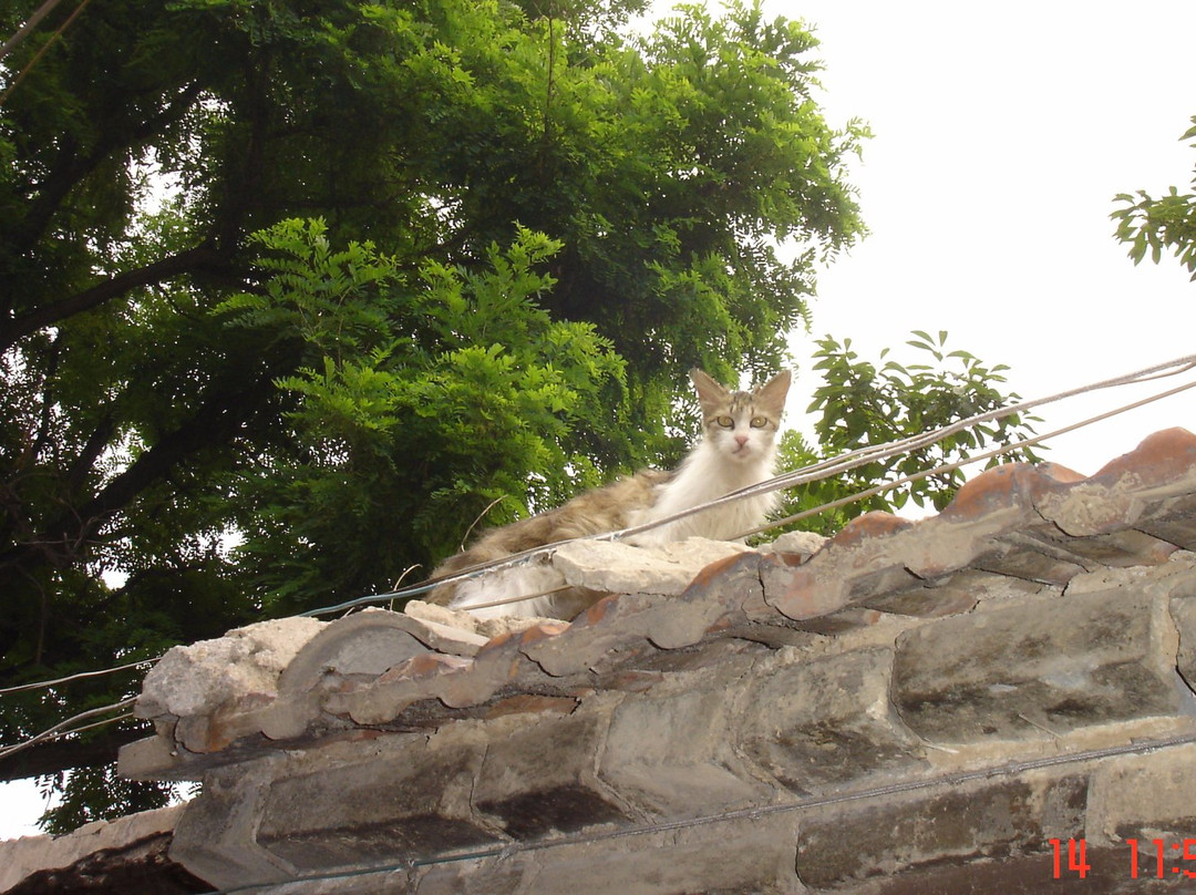 偶园商业街-青州市必去景点