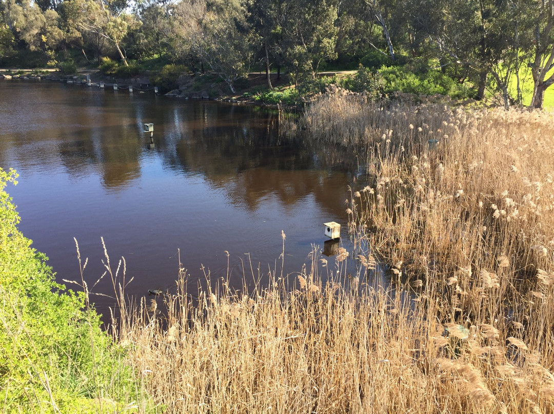 Darebin Parklands景点图片