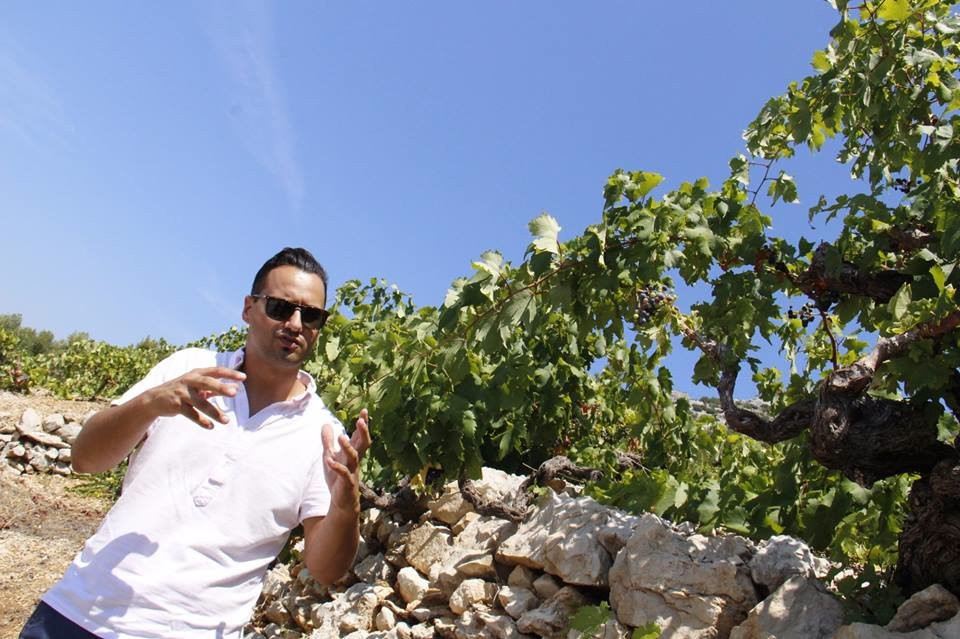 Wine Club Croatia-玛卡沙必去景点