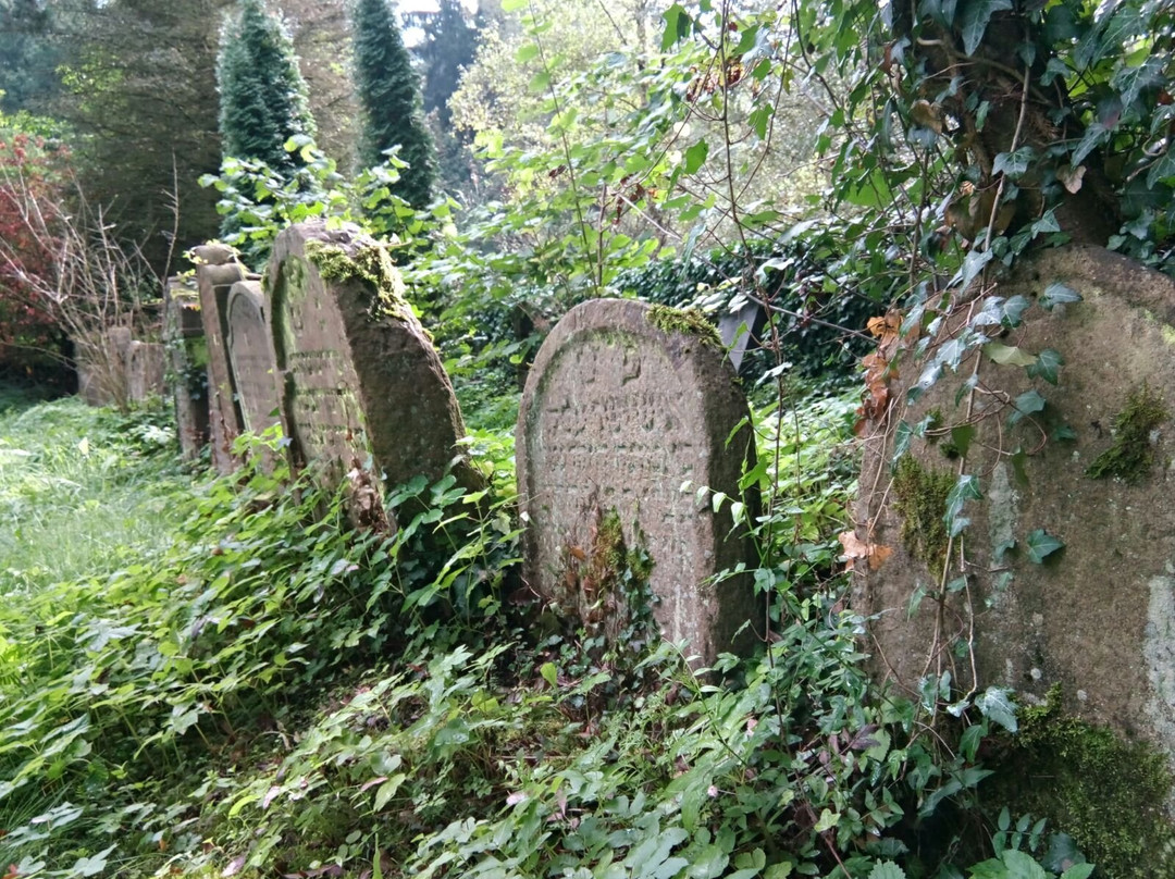 Old Jewish Cemetery Drmoul景点图片