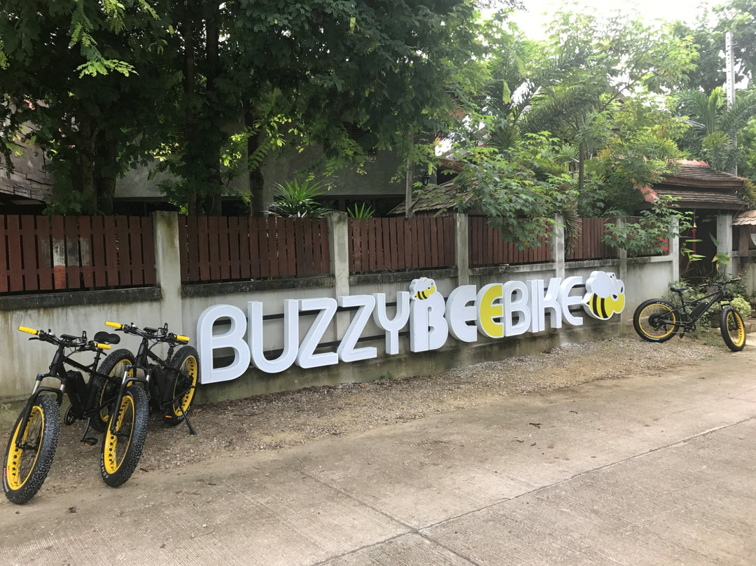 Buzzy Bee Bike景点图片