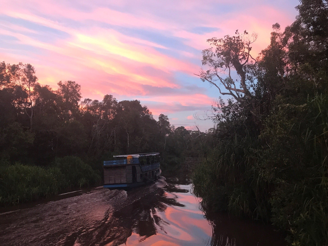 Orangutan tour - Varada Borneo-Pangkalan Bun必去景点