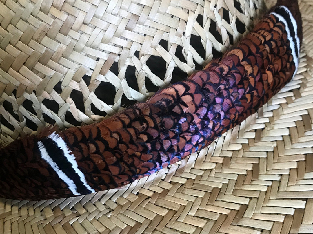 Maui Feather Lei Island Inspired-怀露库必去景点