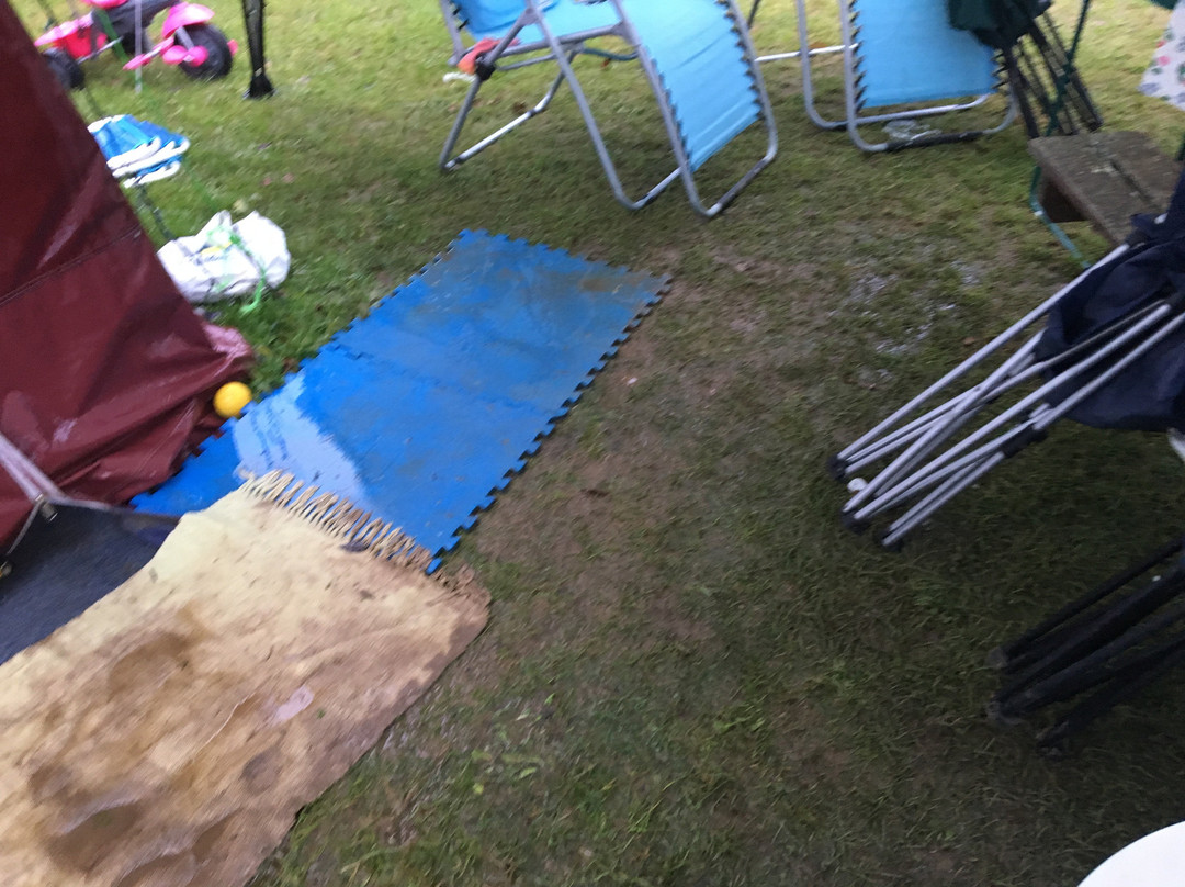 Hedley Wood Caravan and Camping Park