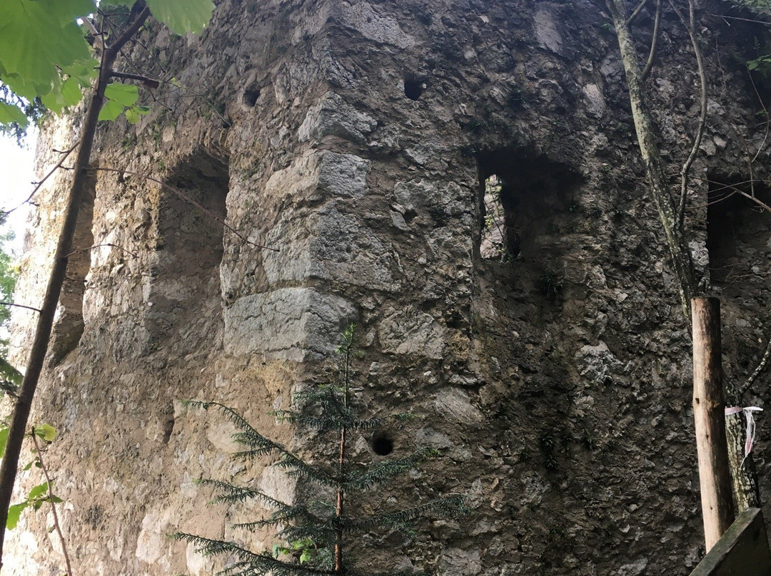 Burg Altpernstein景点图片
