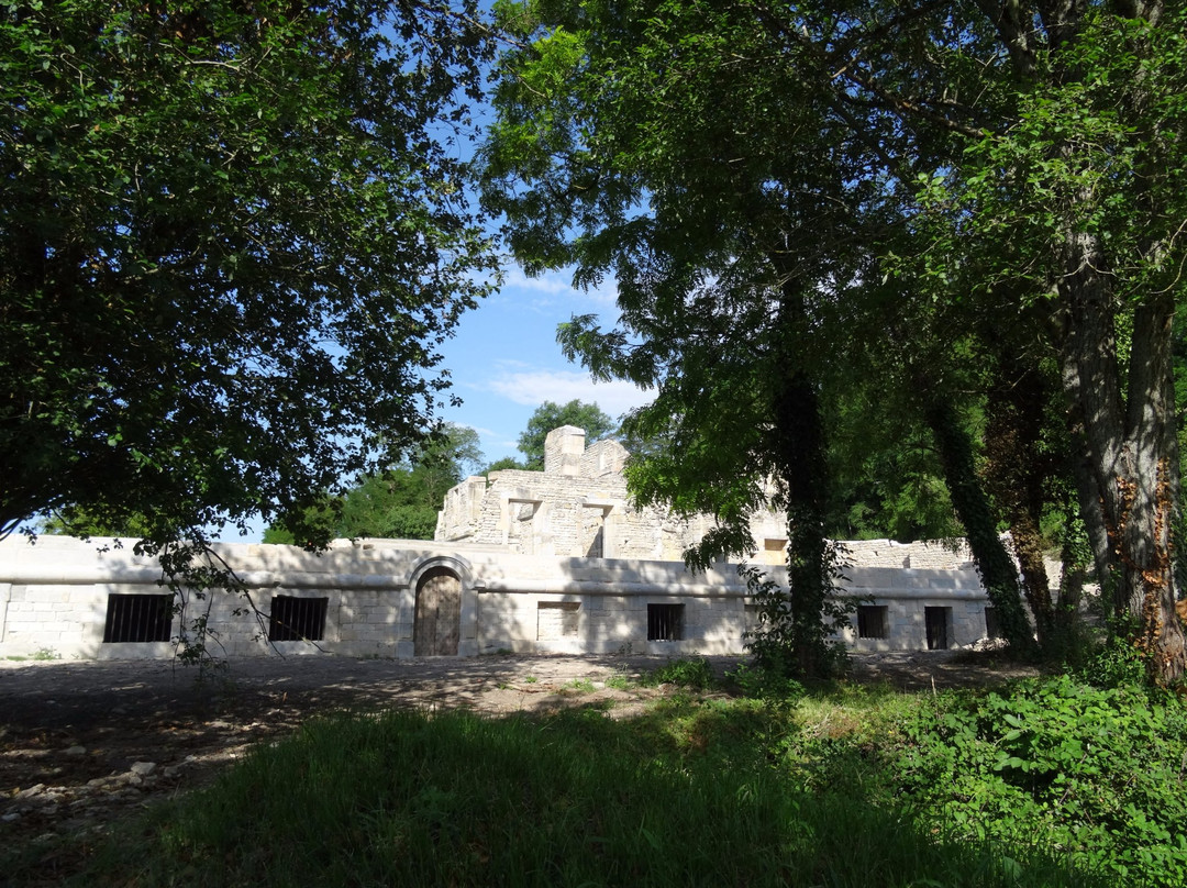 Abbaye de Saint-Vivant-Curtil-Vergy必去景点