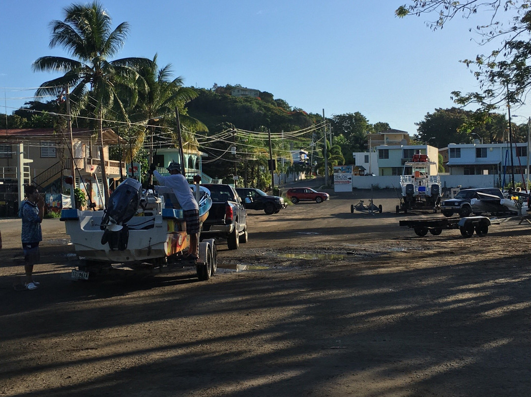 Rincon Marina-吕康必去景点