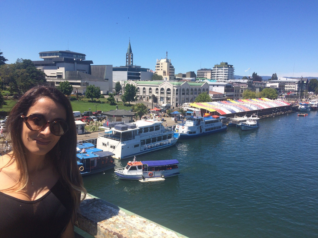 Plaza Pedro de Valdivia-瓦尔迪维亚必去景点