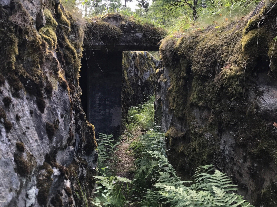 Sjöänd Skans / Fort 118-Arjang必去景点