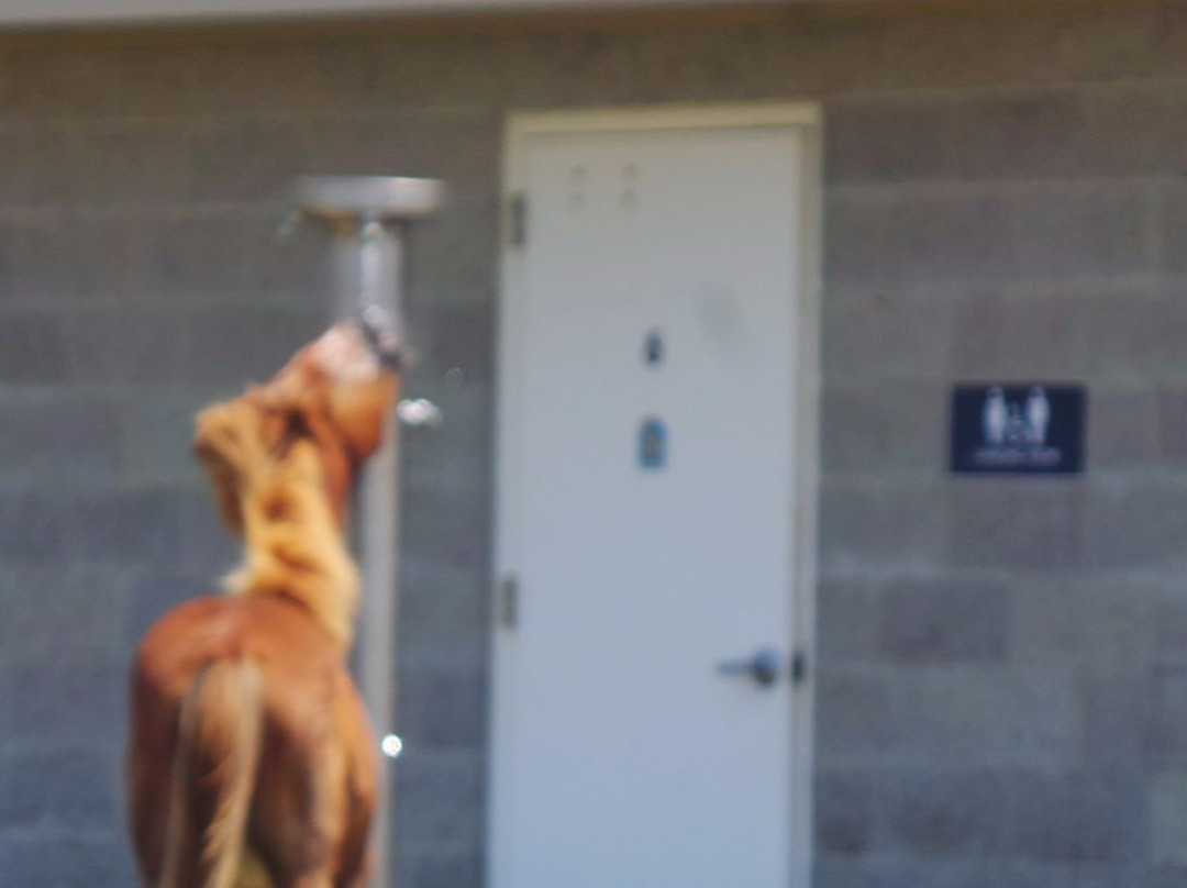 Pocomoke River State Park-Snow Hill必去景点