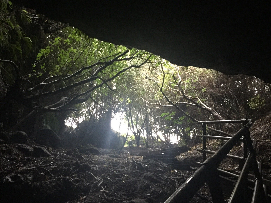 Mangaone Caves Track-Wairoa必去景点