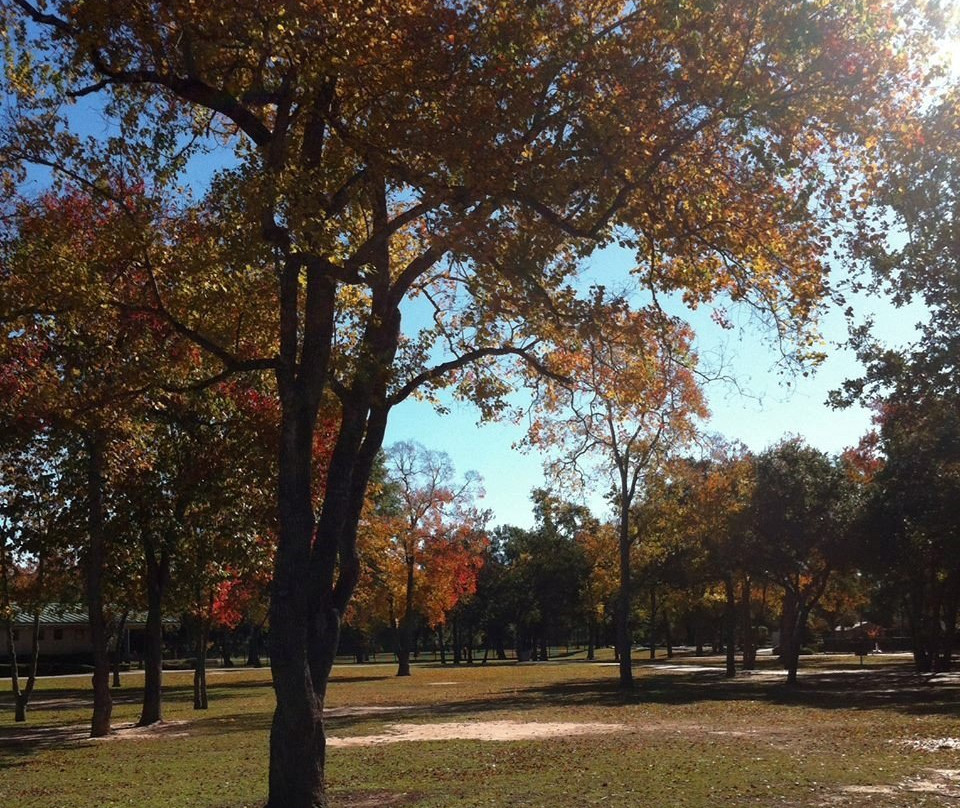 Mary Jo Peckham Park-卡蒂必去景点