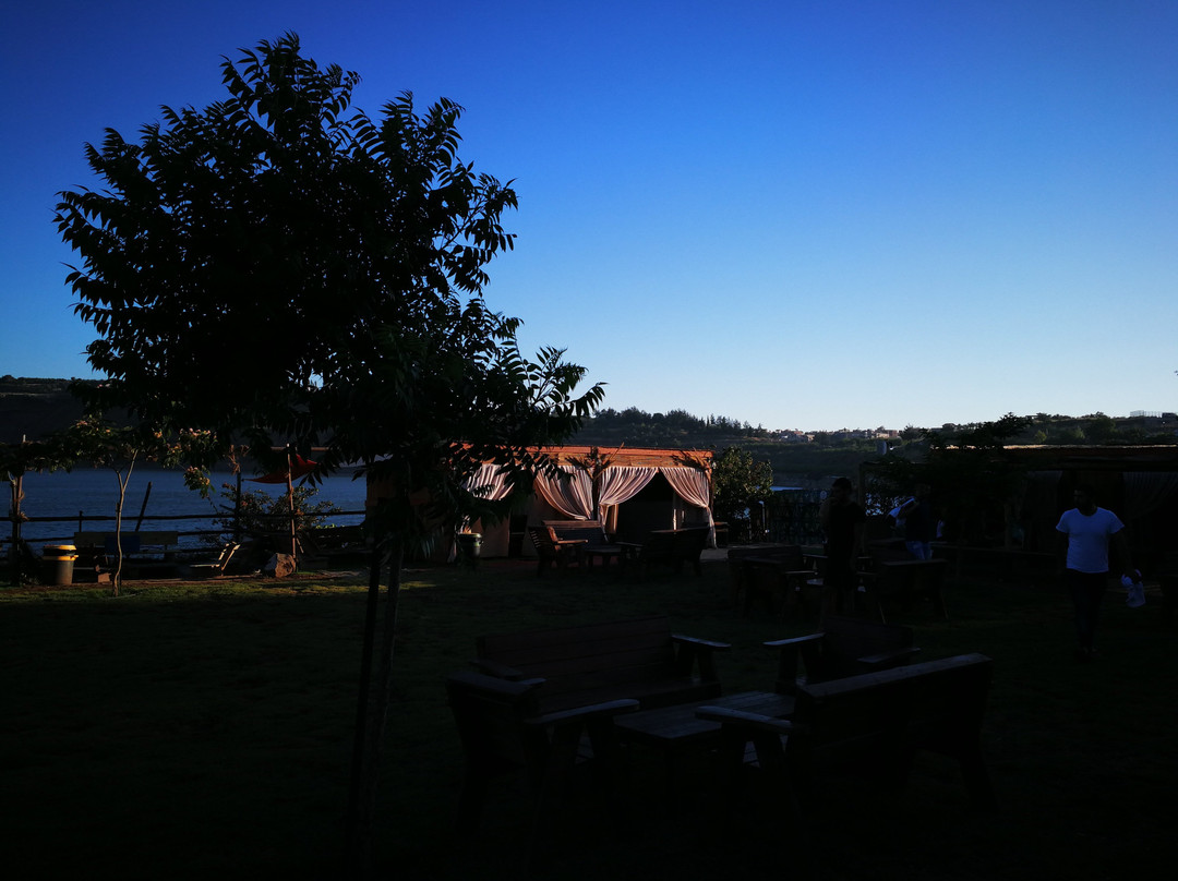 Bambook Park-马萨达必去景点