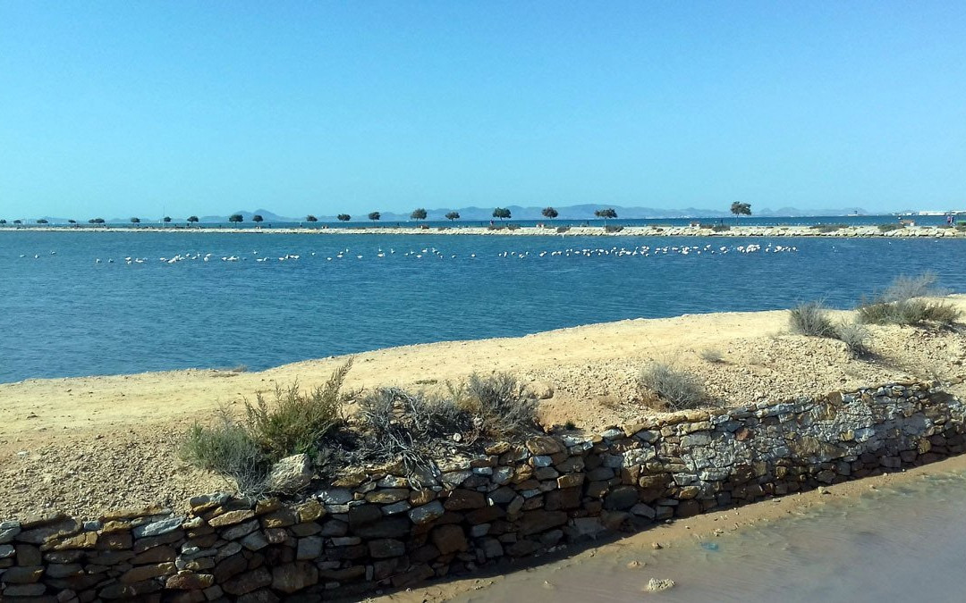 Lo Pagán旅游攻略图片