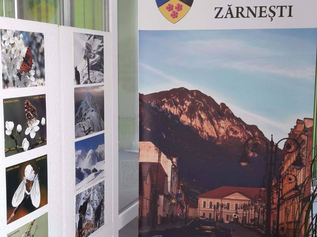 Zarnesti Visitor Center景点图片