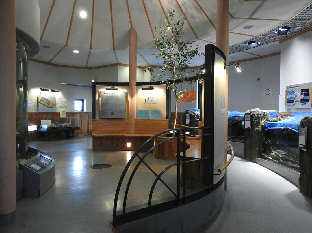 Bifuka Sturgeon Museum-美深町必去景点