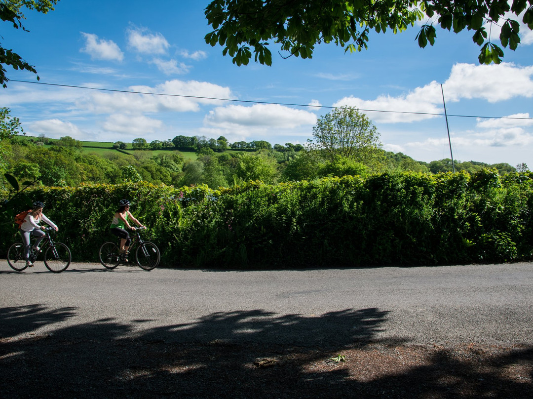 Devon Cycling Holidays-埃克塞特必去景点