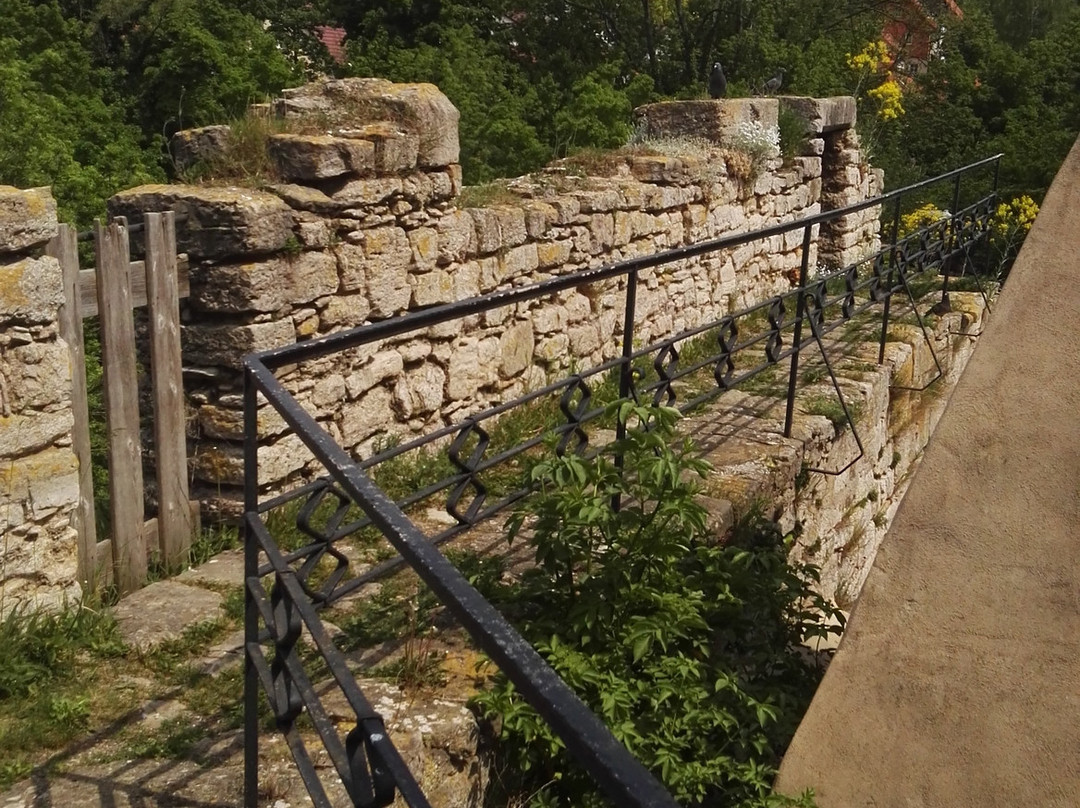Wasserburg Kapellendorf景点图片