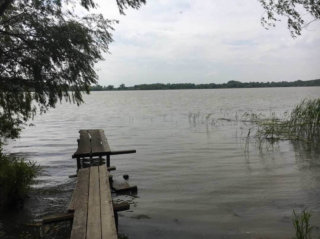 Danube Biospheric Reserve-Vilkovo必去景点