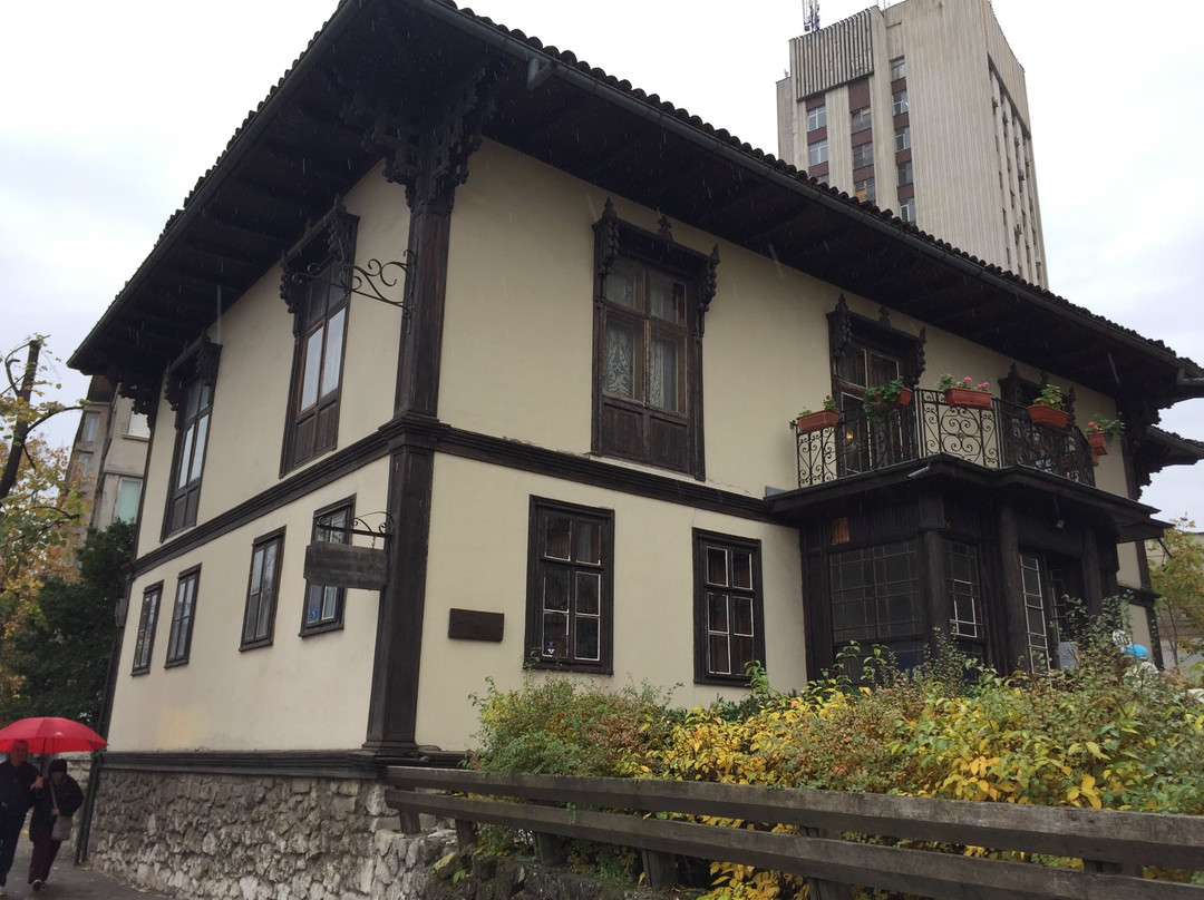 Museum House of Kaliopa-鲁塞必去景点