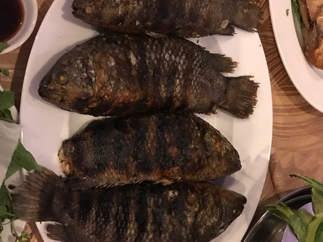 Nhat Ha 1 Hotel主图