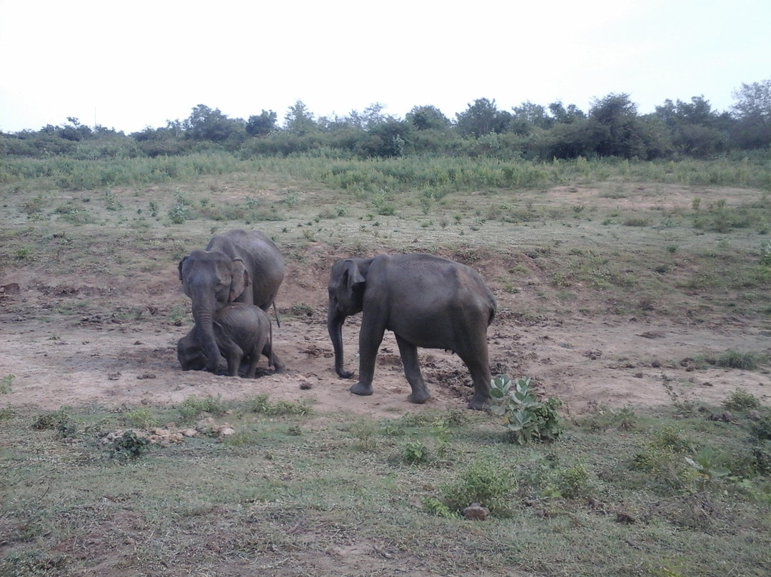 Jayasri Travels & Tours-美蕊沙必去景点