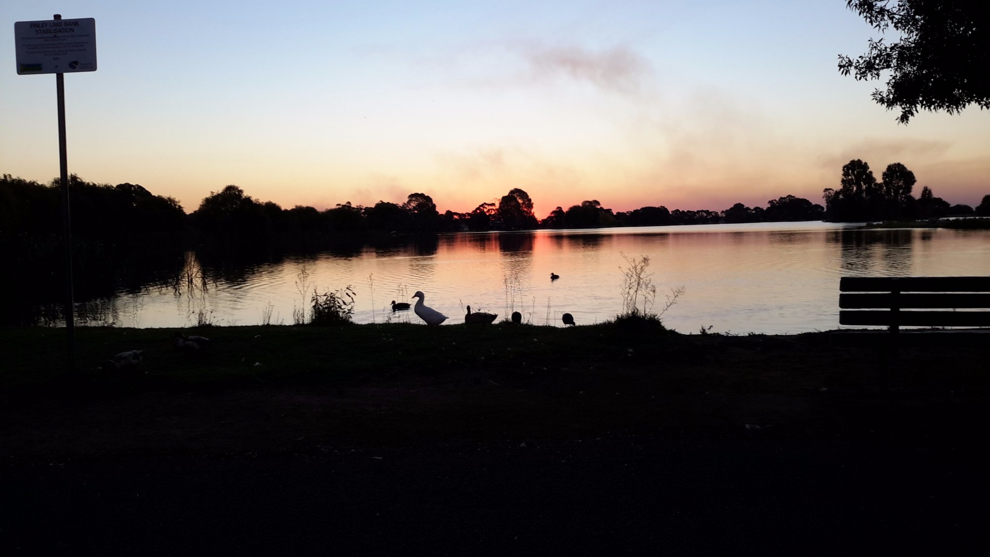 Finley Motel by the lake-泳池