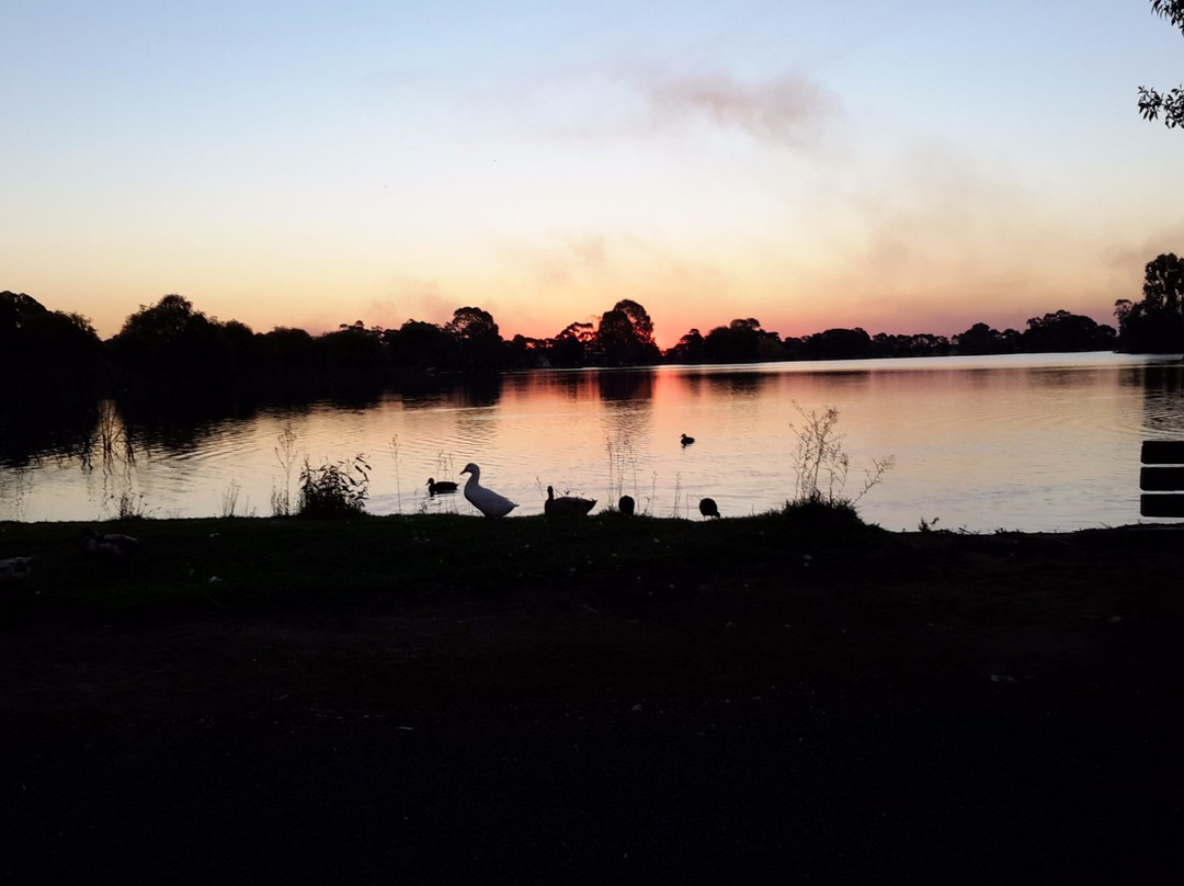 Finley Motel by the lake主图