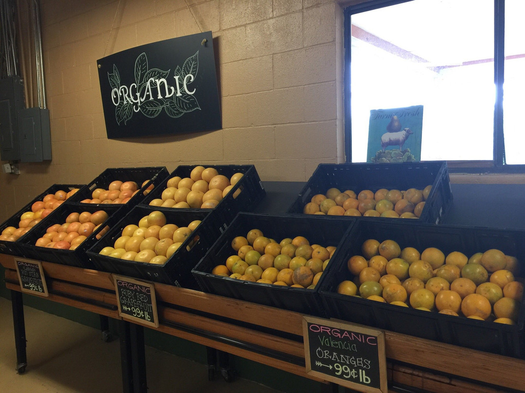 Klement's Grove-麦卡伦必去景点