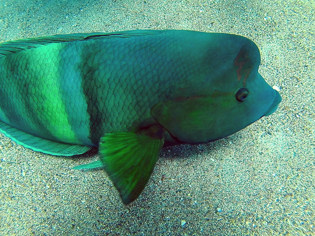 Aqua Beach-埃拉特必去景点