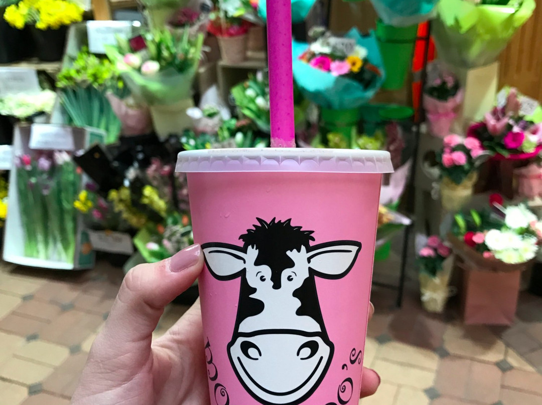 Moo-Moo's