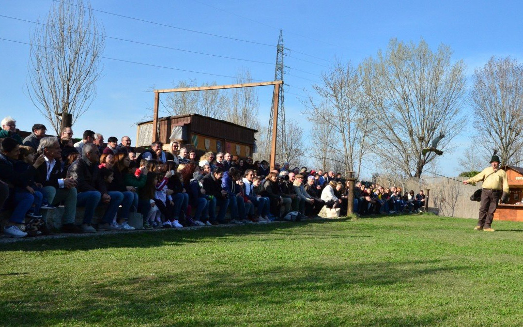 Gessate旅游攻略图片